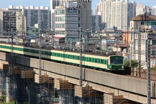 一线城市新趋势，坑口区房屋出租，潜力与挑战并存的都市新居住选择