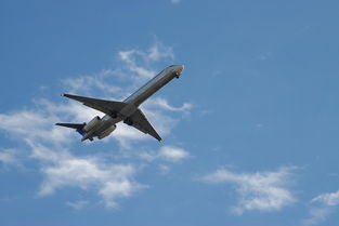 北欧航空，舒适旅程的艺术与贴心服务的细节 - 一部空中旅行的全方位指南