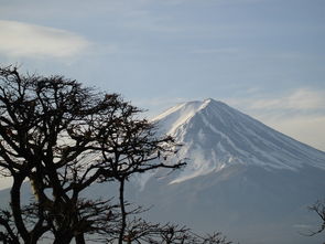 探秘日本本州西岸的轻轻摇晃，一场6.3级地震的震撼瞬间