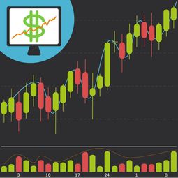 宇树科技老股转让引爆市场，科技创业热潮下的资本盛宴与价值重塑