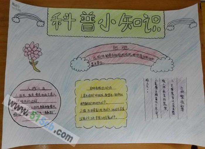 生活科普小知识手抄报内容制作指南：轻松打造科学有趣的手抄报