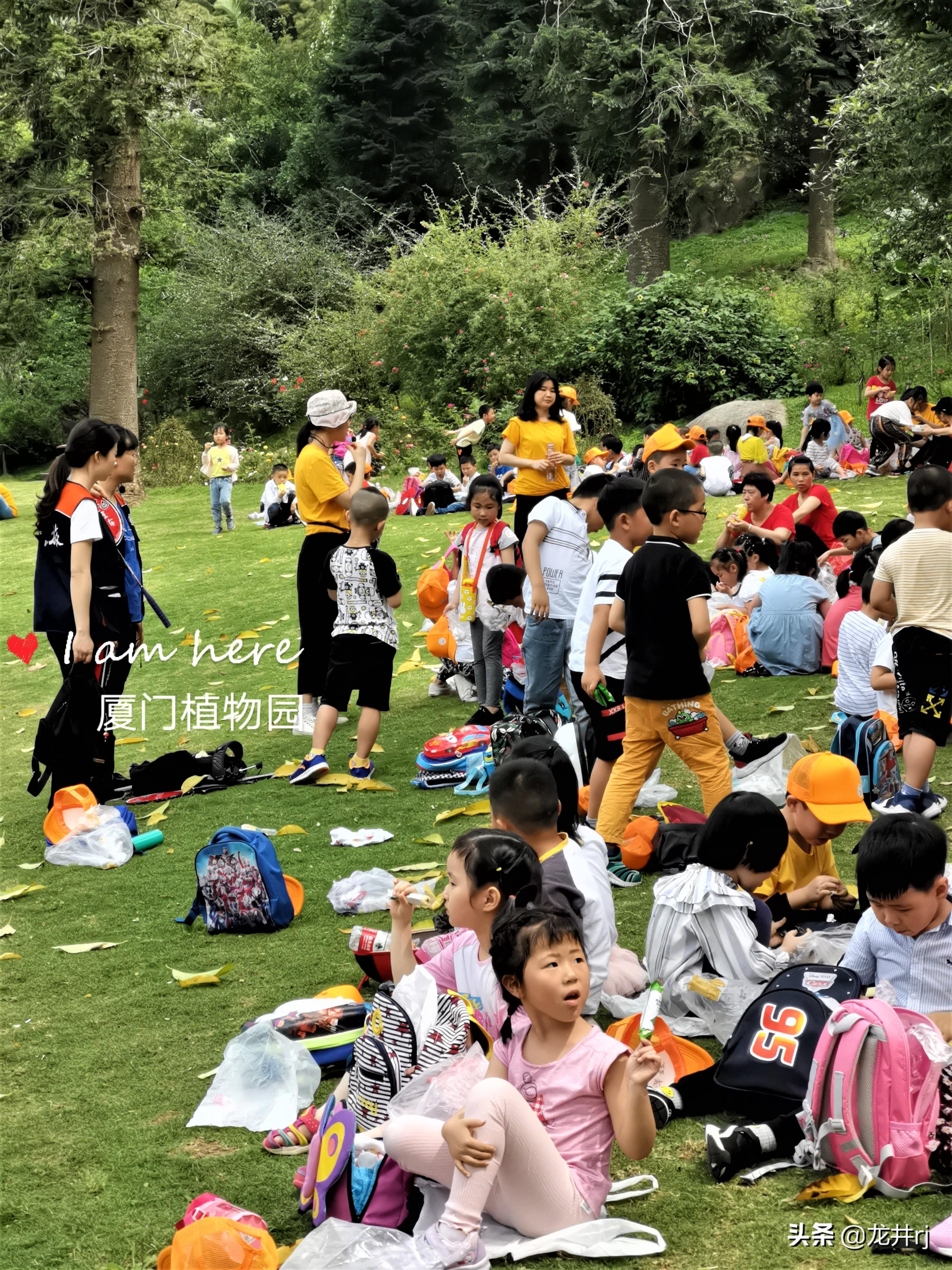 生活科普视频制作全攻略：从素材获取到拍摄技巧，轻松解决创作难题