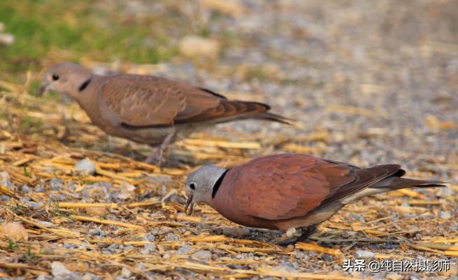 最全的生活百科知识大全：让生活更简单、更美好的实用指南