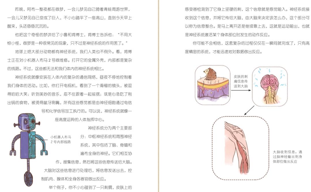 日常生活科普小故事：轻松解锁身边科学奥秘，让知识像聊天一样有趣