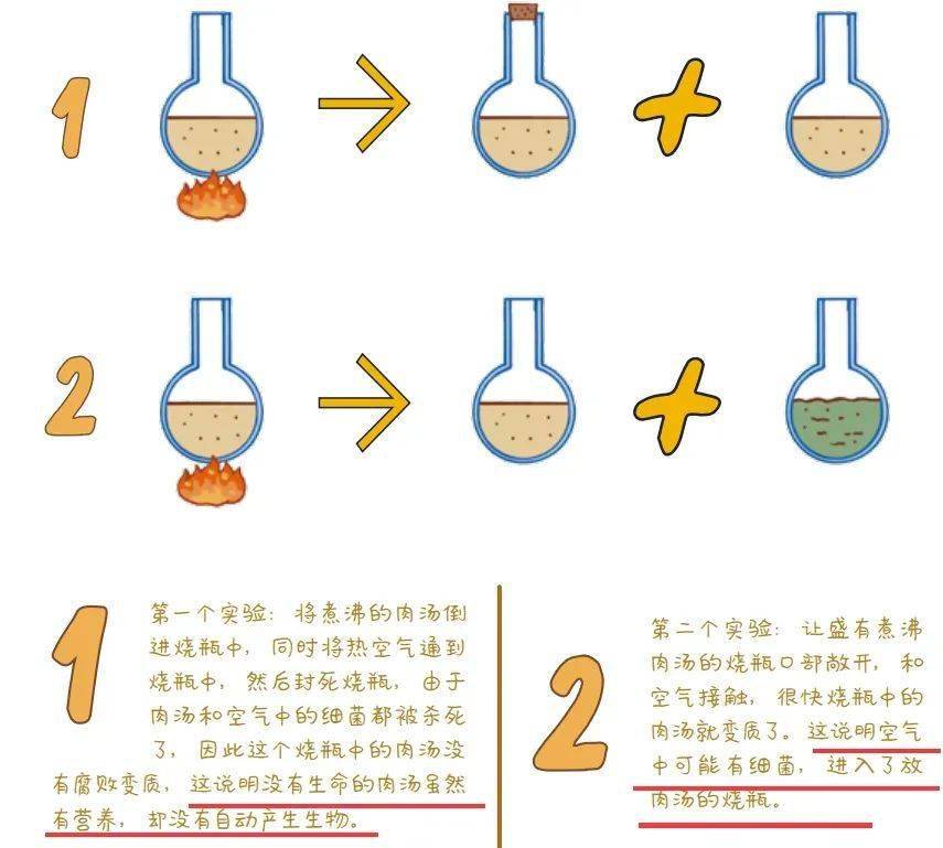 生活中科普小故事：轻松掌握科学原理，让知识变得有趣又实用